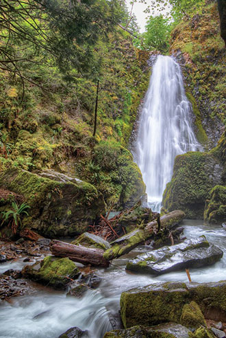 Susan Creek Falls is a popular local waterfall.