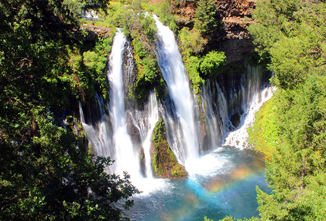 Botany students will visit MacArthur-Bernie Falls, California’s second oldest state park.